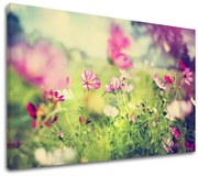 Obraz na stenu RUŽOVÉ KVETY_165-11 | rôzne rozmery