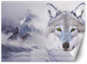 Gario Fototapeta Vlci v zime Materiál: Vliesová, Rozmery: 300 x 210 cm