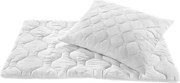 XXXLutz LÔŽKOVINY – SADA, polyester, 140x200/70x90 cm Boxxx - Prikrývky & vankúše - 006857006401