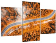 Obraz - Horská cesta (90x60 cm)