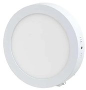 LED Stropné svietidlo LED/12W/230V
