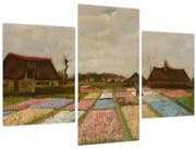 Obraz - Vincent van Gogh, Flower Beds in Holland, reprodukcia (90x60 cm)