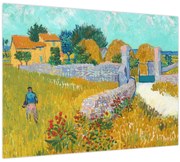 Obraz - Vincent van Gogh, Farmhouse in Provence, reprodukcia (70x50 cm)