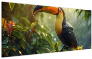 Obraz - Tukan (120x50 cm)