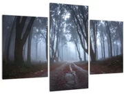 Obraz - Za daždivého dňa (90x60 cm)
