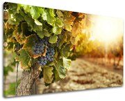 Obraz na stenu KUCHYŇA | rôzne rozmery