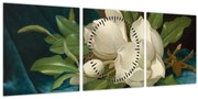 Obraz - Martin Johnson Heade, Giant Magnolias on a Blue Velvet Cloth, reprodukcia (s hodinami) (90x30 cm)