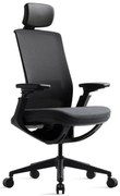 Kancelárska ergonomická stolička ROLY — sieť, látka, čierna / viac farieb Antracit