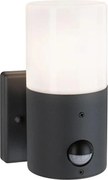 Paulmann 94648 - 1xE27/15W IP44 Vonkajšie nástenné svietidlo so senzorom TUBS 230V