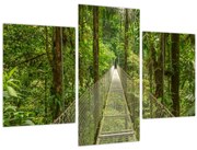 Obraz - Závesný most (90x60 cm)