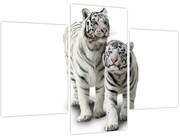 Obraz - Biely tiger (90x60 cm)