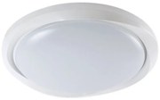 LED Stmievateľné stropné svietidlo LED/60W/230V 3000-6500K 49,2 cm biela + DO