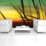 Fototapeta - Tráva na pláži (152,5x104 cm)