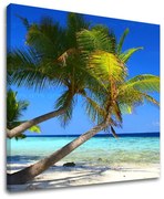 Obraz na stenu PLÁŽ | rôzne rozmery