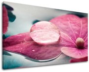 Obraz na stenu KVETY | rôzne rozmery