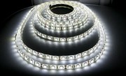 ECOLIGHT LED pásik - SMD 5050 - 5m - 60LED/m - 14,4W/m - IP65 - studená biela