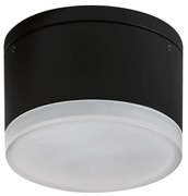 Azzardo AZ4333 - LED Vonkajšie stropné svietidlo APULIA LED/10W/230V IP54