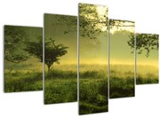 Obraz - Prebúdzajúci sa les (150x105 cm)