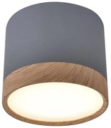 LED Stropné svietidlo TUBA LED/9W/230V