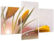 Obraz - Jarné kvety (90x60 cm)