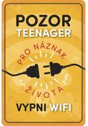 Ceduľa BU20058 20x30 cm Pozor teenager