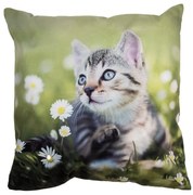 Zelená obliečka na vankúš s mačiatkom na lúke - 45*45 cm