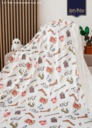 Deka mikroplyš Harry Potter 150 × 200 cm - Chrabromil 1