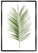 Plagát Palm Leaf Green