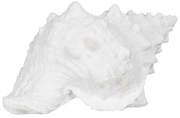Soška z polyresínu (výška 12 cm) Seashell – Ixia
