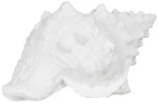 Soška z polyresínu (výška 12 cm) Seashell – Ixia