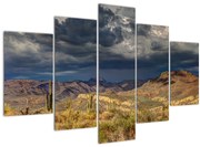 Obraz - kaktusy v prírode (150x105 cm)