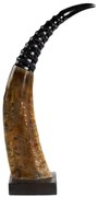Dekoratívny roh Byvol na drevenom podstavci (bubalus bubalis) - 45cm