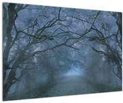 Obraz lesa v hmle (90x60 cm)