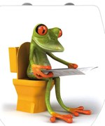 WC sedadlo s jednoduchým zatváraním Wenko Frog News, 45 x 38,8 cm