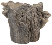 Hnedý cementový kvetináč kmeň stromu s hubami Botanic M - 24*18*18 cm