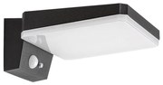 Rabalux 77078 - LED solárne nástenné svietidlo LASSET LED/4,4W/3,7V IP54 čierne