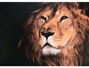 Obraz tlačený na plátne 50x70 PRC1004