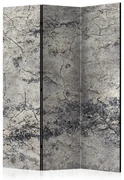 Artgeist Paraván - Grey Lady [Room Dividers]
