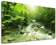 Obraz na stenu STROMY | rôzne rozmery