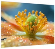 Obraz - Detail kvetu (70x50 cm)