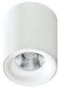 Azzardo AZ2845 - LED Stropné svietidlo MANE 1xLED/10W/230V