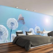 Fototapeta - Motýľ v púpavach (147x102 cm)