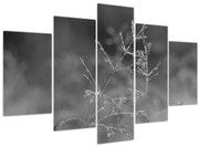 Obraz - Vidiecka lúka (150x105 cm)