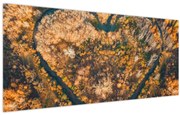 Obraz - Rieka v tvare srdca (120x50 cm)