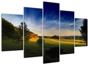 Obraz - Horská lúka (150x105 cm)