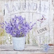 Obraz na plátne Levanduľa zátišie Love, 40x40 cm%
