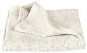 Krémová pletená detská deka z Bio bavlny 80x80 cm Seashells – Roba
