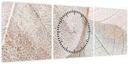 Obraz - Béžové listy (s hodinami) (90x30 cm)