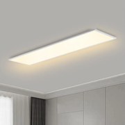 Brilagi - LED stmievateľné svietidlo SLIMFRAME LED/58W/230V 120x30 cm biele + DO