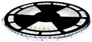 ECOLIGHT LED pásik - SMD 2835 - 50 m - 4,8 W/m - IP20 - studená biela